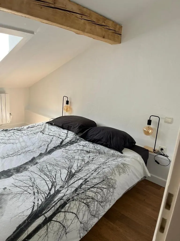 Residence Varlope Chamonix 0*,